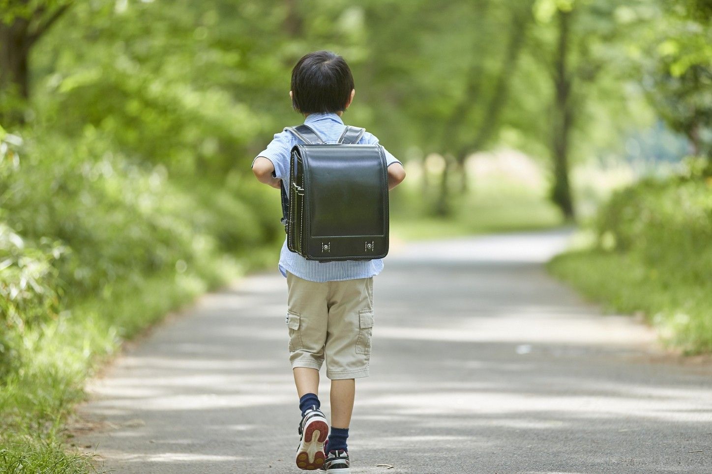 1769652822351865.jpg 1769652822351865.jpg